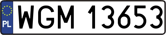 WGM13653