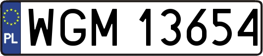 WGM13654