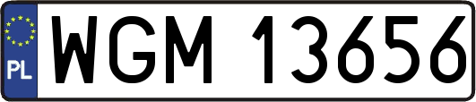WGM13656