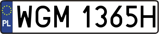 WGM1365H