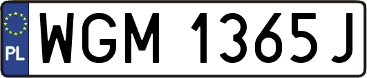 WGM1365J