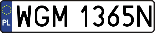 WGM1365N