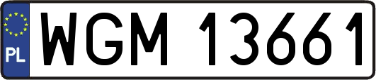 WGM13661
