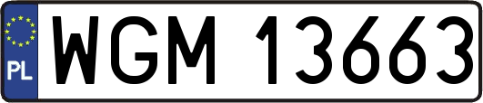 WGM13663