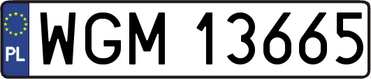 WGM13665
