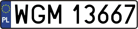 WGM13667