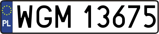 WGM13675