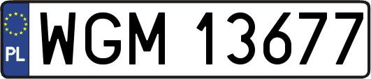 WGM13677