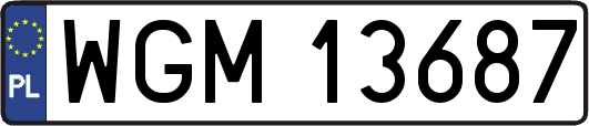 WGM13687