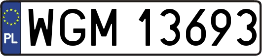 WGM13693