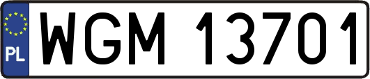 WGM13701