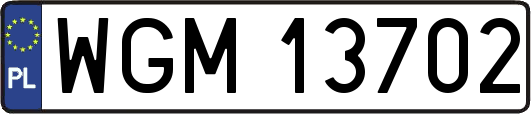 WGM13702