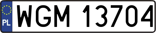 WGM13704