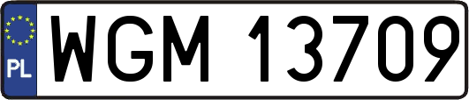 WGM13709