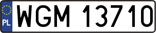 WGM13710