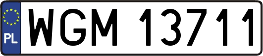 WGM13711