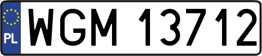 WGM13712
