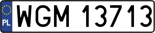 WGM13713