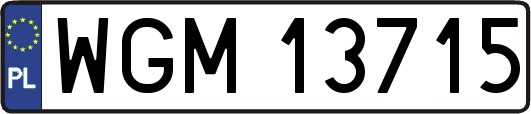 WGM13715