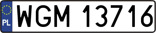 WGM13716