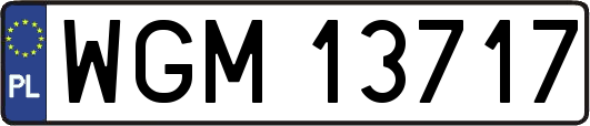 WGM13717
