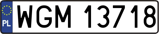 WGM13718
