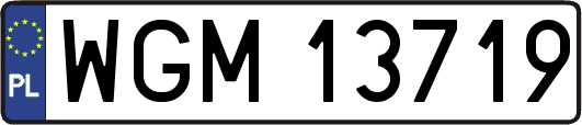 WGM13719