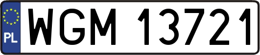 WGM13721