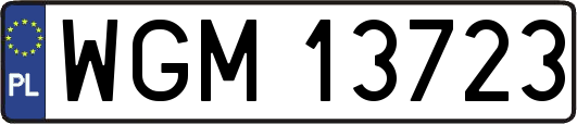 WGM13723