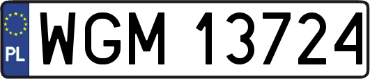 WGM13724