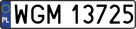 WGM13725