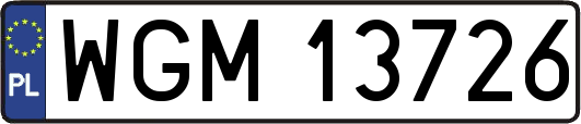 WGM13726