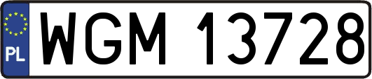 WGM13728