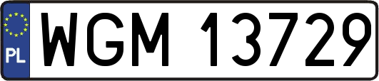 WGM13729