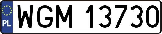 WGM13730