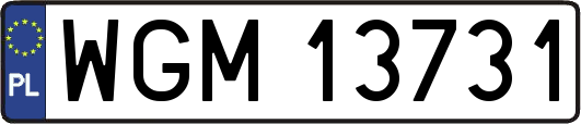 WGM13731