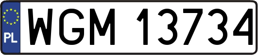 WGM13734