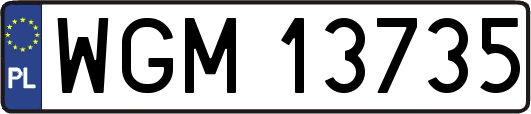 WGM13735