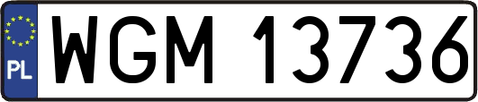 WGM13736