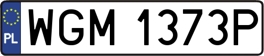 WGM1373P