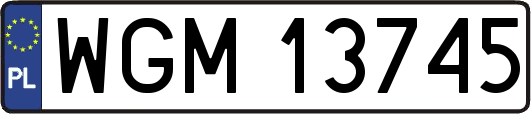WGM13745