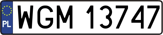 WGM13747