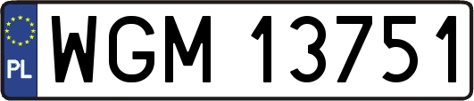 WGM13751