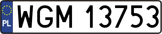 WGM13753
