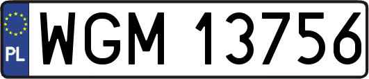 WGM13756