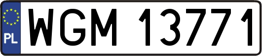 WGM13771