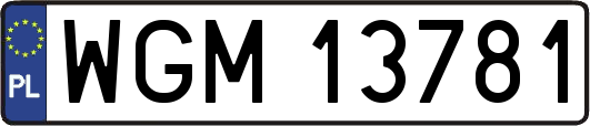 WGM13781
