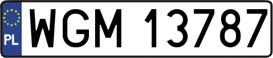 WGM13787