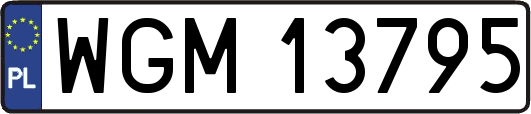 WGM13795