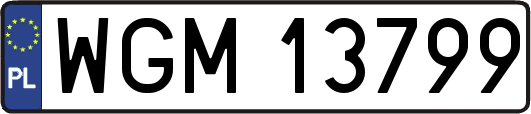 WGM13799
